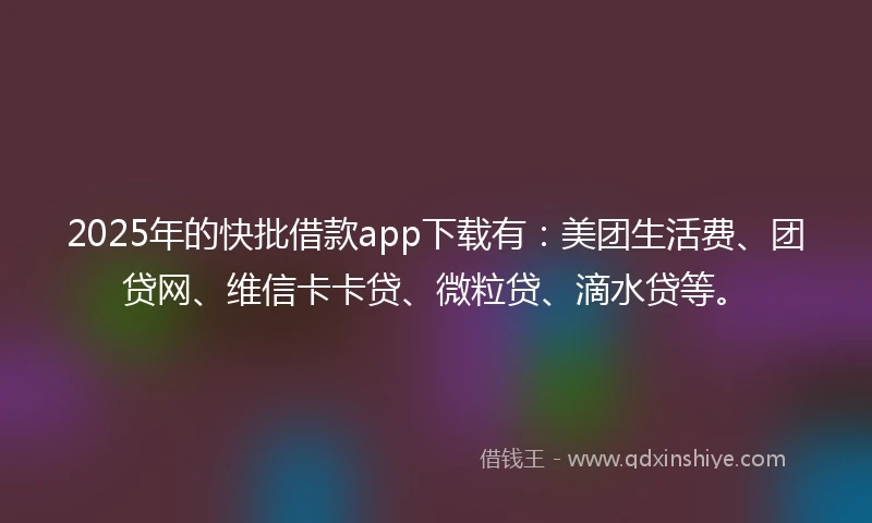2025年的快批借款app下载有：美团生活费、团贷网、维信卡卡贷、微粒贷、滴水贷等。