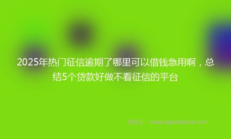 2025年热门征信逾期了哪里可以借钱急用啊，总结5个贷款好做不看征信的平台