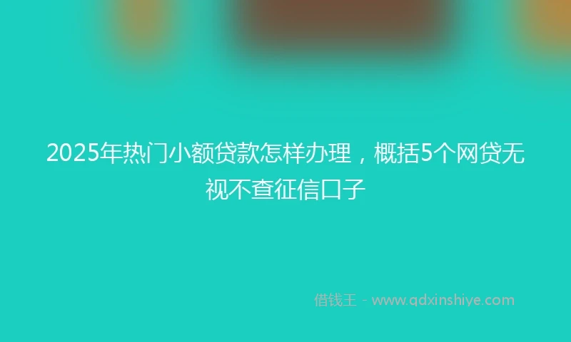 2025年热门小额贷款怎样办理，概括5个网贷无视不查征信口子