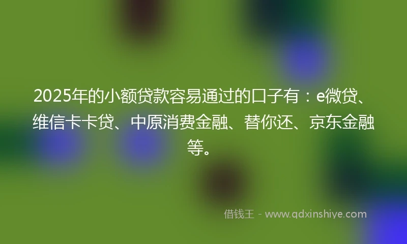 2025年的小额贷款容易通过的口子有：e微贷、维信卡卡贷、中原消费金融、替你还、京东金融等。