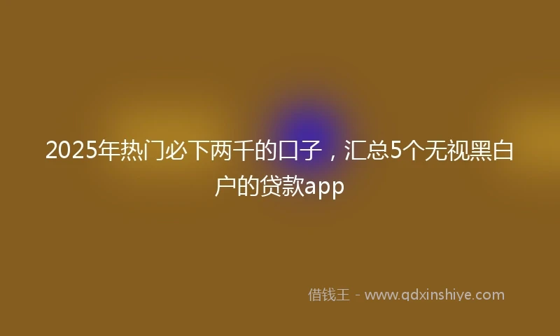 2025年热门必下两千的口子，汇总5个无视黑白户的贷款app
