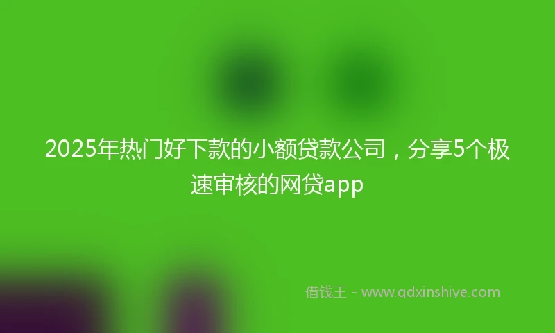 2025年热门好下款的小额贷款公司，分享5个极速审核的网贷app