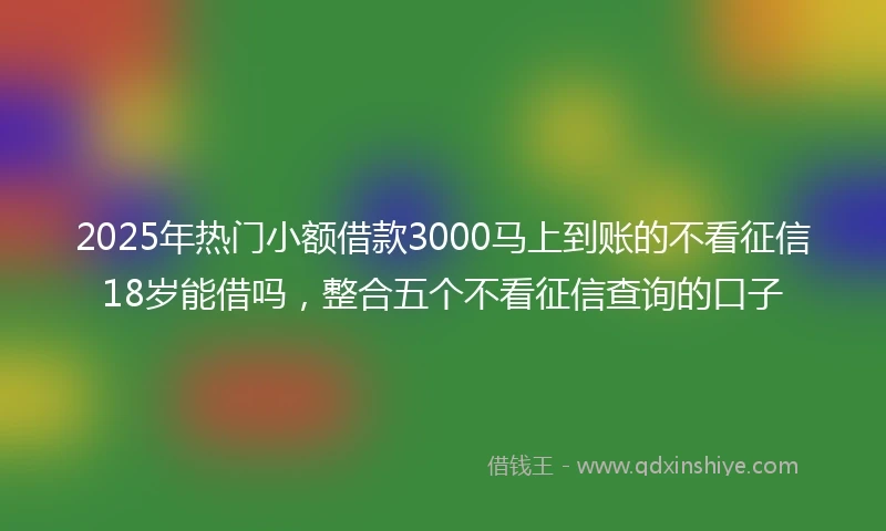 2025年热门小额借款3000马上到账的不看征信18岁能借吗，整合五个不看征信查询的口子