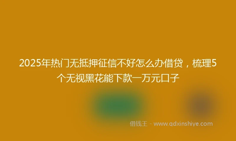 2025年热门无抵押征信不好怎么办借贷，梳理5个无视黑花能下款一万元口子