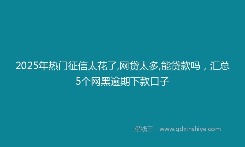 2025年热门征信太花了,网贷太多,能贷款吗，汇总5个网黑逾期下款口子