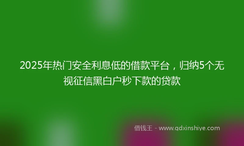 2025年热门安全利息低的借款平台，归纳5个无视征信黑白户秒下款的贷款
