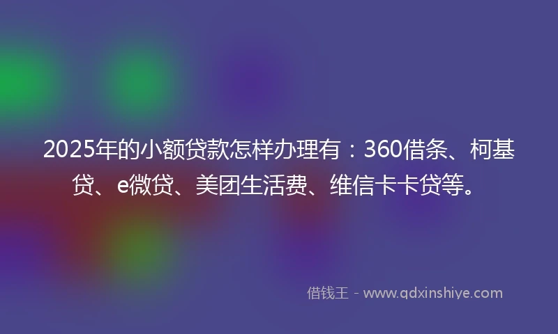 2025年的小额贷款怎样办理有：360借条、柯基贷、e微贷、美团生活费、维信卡卡贷等。