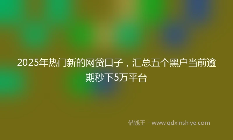 2025年热门新的网贷口子，汇总五个黑户当前逾期秒下5万平台