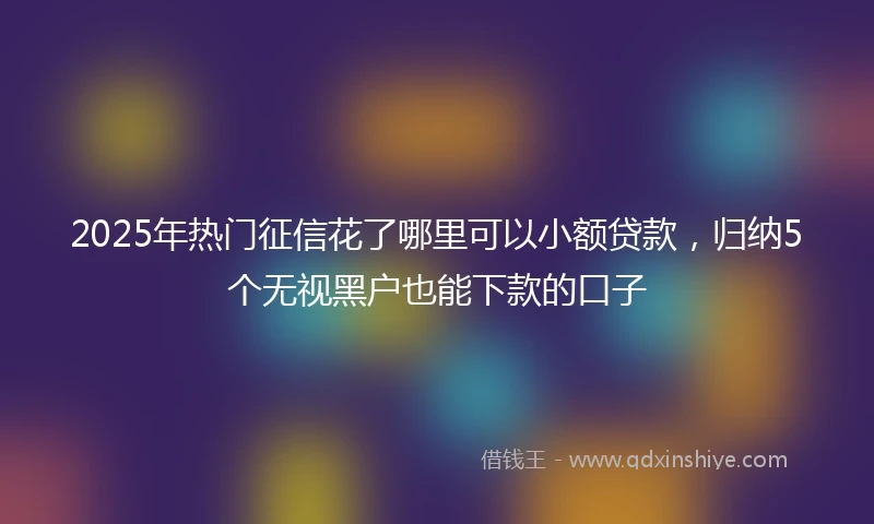 2025年热门征信花了哪里可以小额贷款，归纳5个无视黑户也能下款的口子
