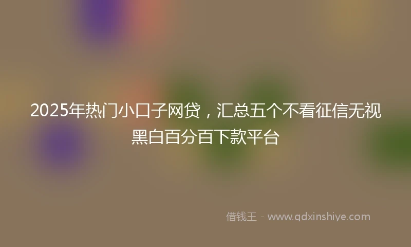 2025年热门小口子网贷，汇总五个不看征信无视黑白百分百下款平台