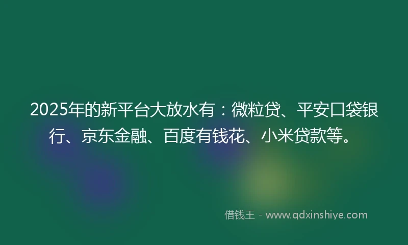 2025年的新平台大放水有：微粒贷、平安口袋银行、京东金融、百度有钱花、小米贷款等。