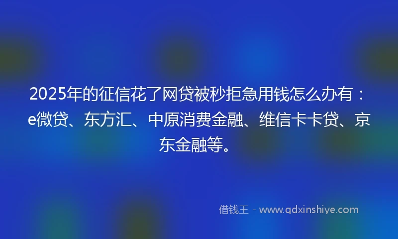 2025年的征信花了网贷被秒拒急用钱怎么办有：e微贷、东方汇、中原消费金融、维信卡卡贷、京东金融等。