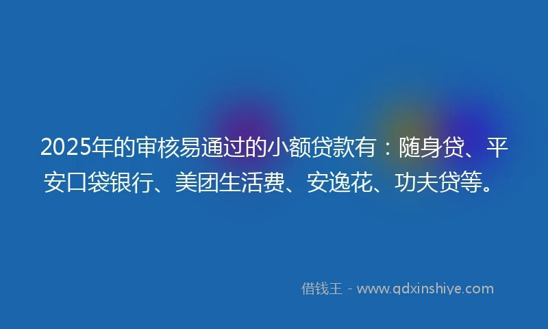 2025年的审核易通过的小额贷款有：随身贷、平安口袋银行、美团生活费、安逸花、功夫贷等。