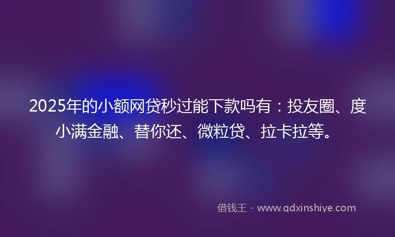 2025年的小额网贷秒过能下款吗有：投友圈、度小满金融、替你还、微粒贷、拉卡拉等。
