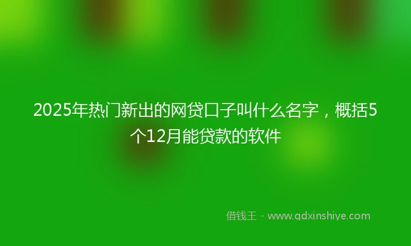 2025年热门新出的网贷口子叫什么名字，概括5个12月能贷款的软件