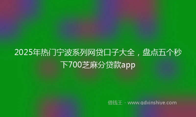 2025年热门宁波系列网贷口子大全，盘点五个秒下700芝麻分贷款app