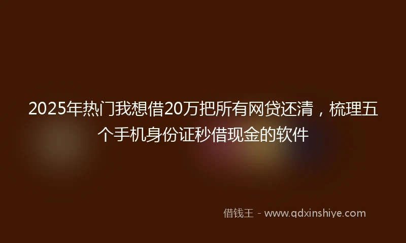 2025年热门我想借20万把所有网贷还清，梳理五个手机身份证秒借现金的软件