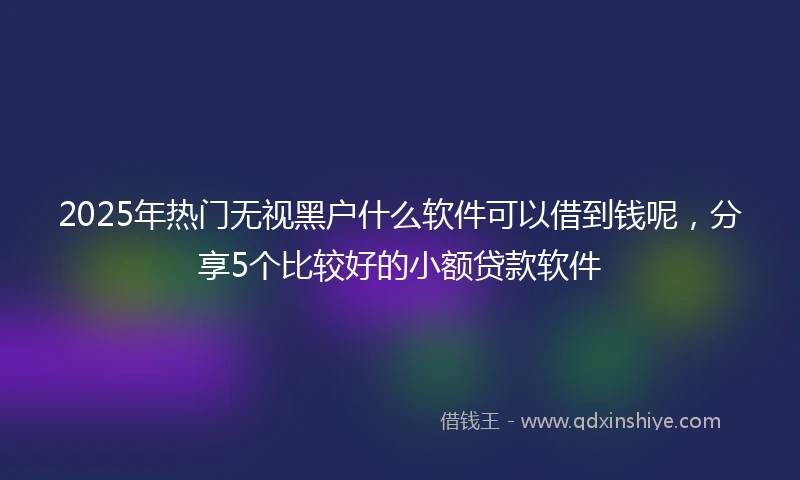 2025年热门无视黑户什么软件可以借到钱呢，分享5个比较好的小额贷款软件