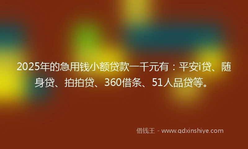 2025年的急用钱小额贷款一千元有：平安i贷、随身贷、拍拍贷、360借条、51人品贷等。