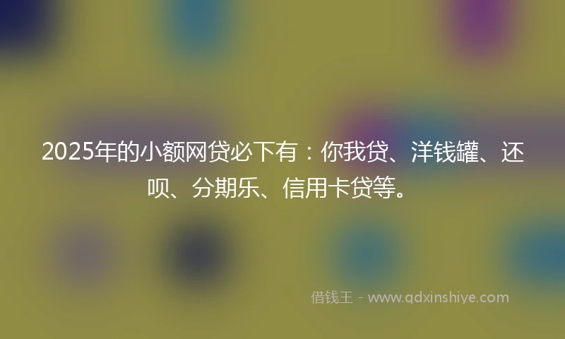 2025年的小额网贷必下有：你我贷、洋钱罐、还呗、分期乐、信用卡贷等。