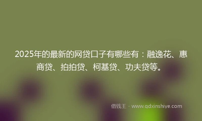 2025年的最新的网贷口子有哪些有：融逸花、惠商贷、拍拍贷、柯基贷、功夫贷等。