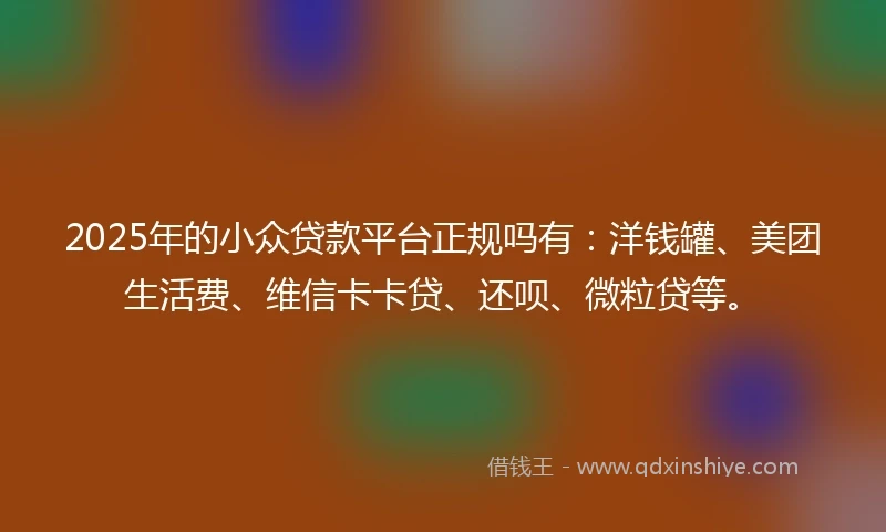 2025年的小众贷款平台正规吗有：洋钱罐、美团生活费、维信卡卡贷、还呗、微粒贷等。