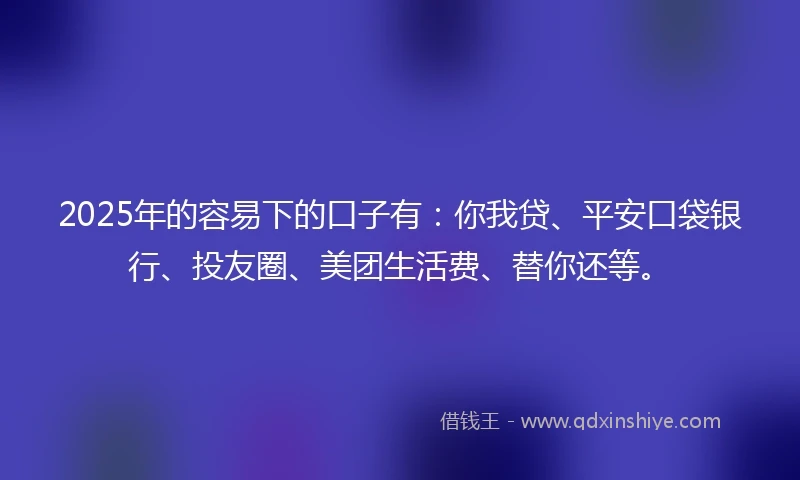 2025年的容易下的口子有：你我贷、平安口袋银行、投友圈、美团生活费、替你还等。