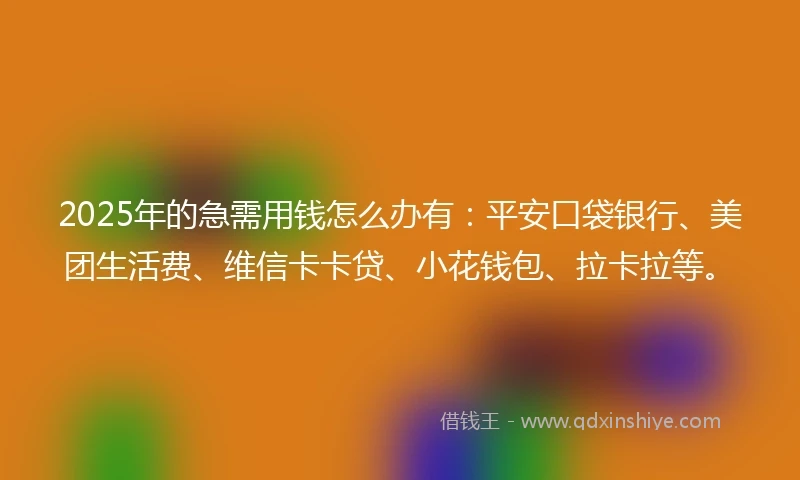 2025年的急需用钱怎么办有：平安口袋银行、美团生活费、维信卡卡贷、小花钱包、拉卡拉等。