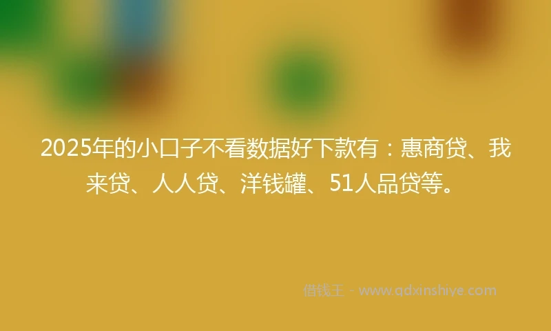 2025年的小口子不看数据好下款有：惠商贷、我来贷、人人贷、洋钱罐、51人品贷等。