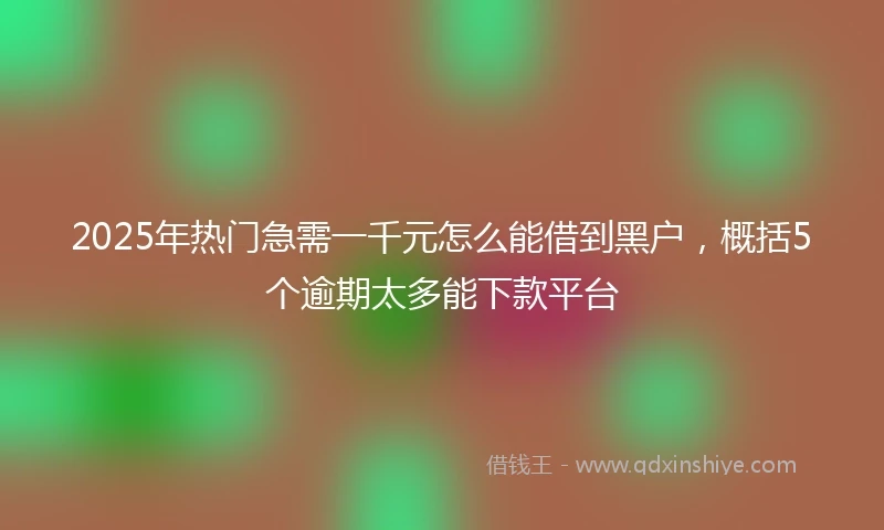 2025年热门急需一千元怎么能借到黑户，概括5个逾期太多能下款平台