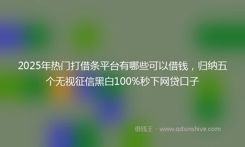 2025年热门打借条平台有哪些可以借钱，归纳五个无视征信黑白100%秒下网贷口子
