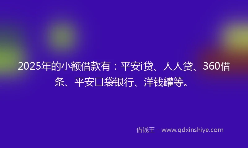 2025年的小额借款有：平安i贷、人人贷、360借条、平安口袋银行、洋钱罐等。