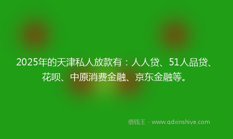 2025年的天津私人放款有：人人贷、51人品贷、花呗、中原消费金融、京东金融等。