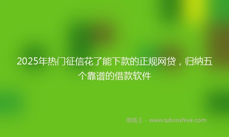 2025年热门征信花了能下款的正规网贷，归纳五个靠谱的借款软件