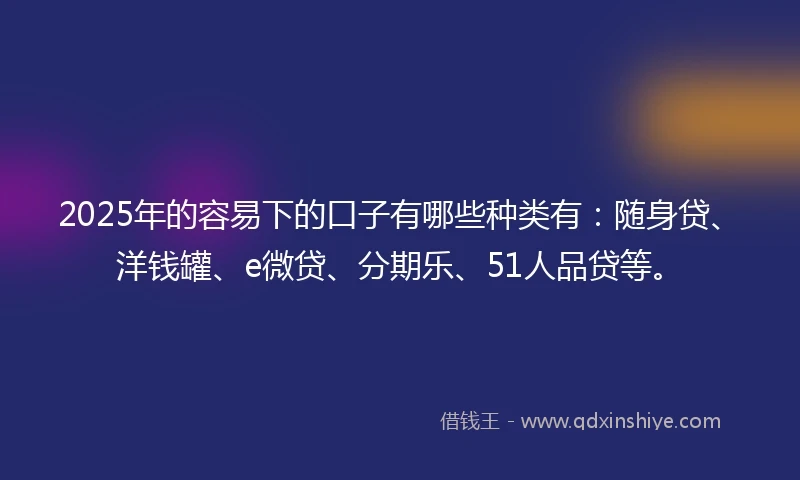 2025年的容易下的口子有哪些种类有：随身贷、洋钱罐、e微贷、分期乐、51人品贷等。
