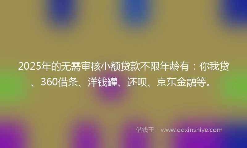 2025年的无需审核小额贷款不限年龄有：你我贷、360借条、洋钱罐、还呗、京东金融等。
