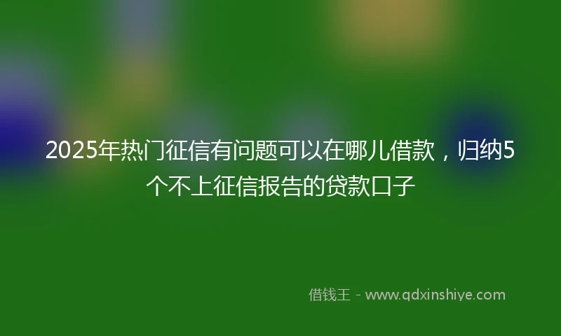 2025年热门征信有问题可以在哪儿借款，归纳5个不上征信报告的贷款口子