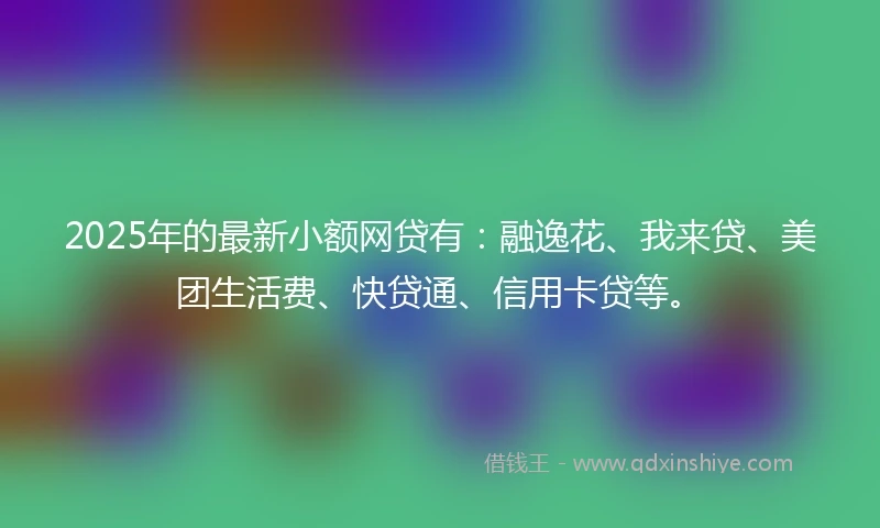 2025年的最新小额网贷有：融逸花、我来贷、美团生活费、快贷通、信用卡贷等。