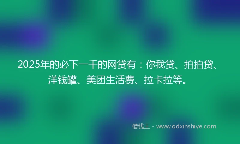 2025年的必下一千的网贷有：你我贷、拍拍贷、洋钱罐、美团生活费、拉卡拉等。