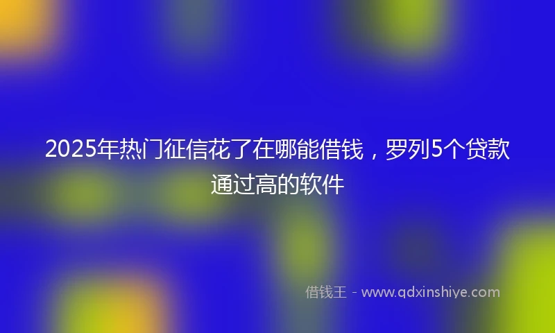 2025年热门征信花了在哪能借钱，罗列5个贷款通过高的软件