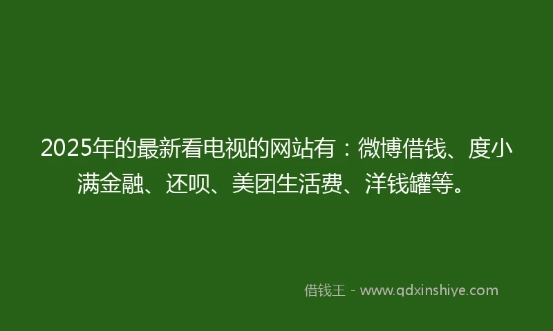 2025年的最新看电视的网站有：微博借钱、度小满金融、还呗、美团生活费、洋钱罐等。