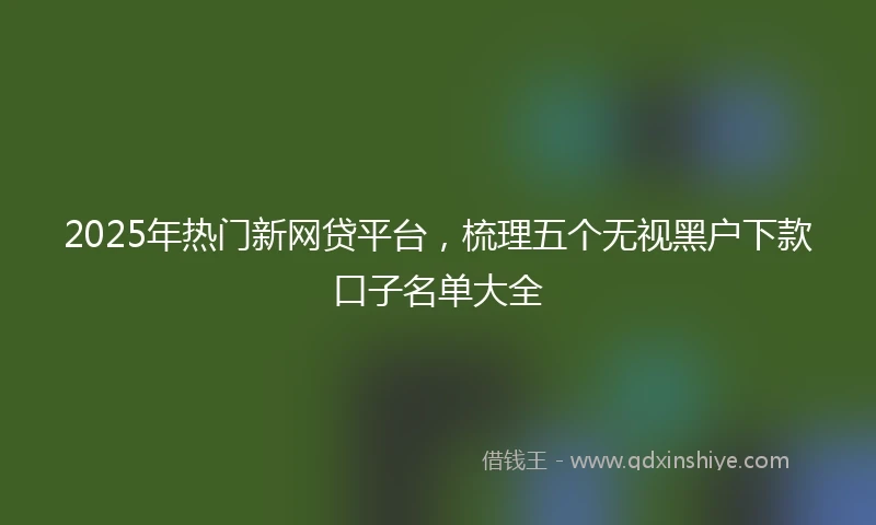 2025年热门新网贷平台，梳理五个无视黑户下款口子名单大全