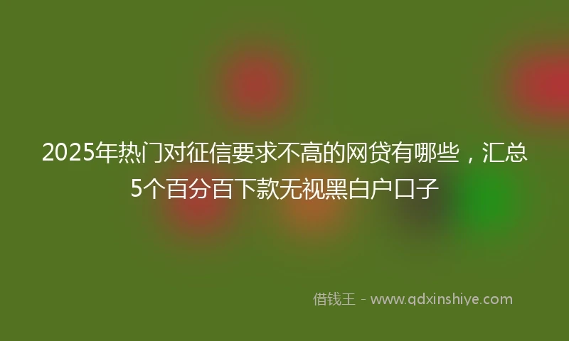 2025年热门对征信要求不高的网贷有哪些，汇总5个百分百下款无视黑白户口子