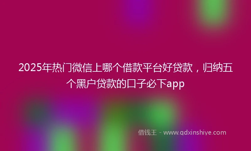 2025年热门微信上哪个借款平台好贷款，归纳五个黑户贷款的口子必下app