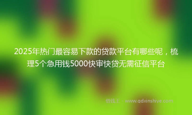 2025年热门最容易下款的贷款平台有哪些呢，梳理5个急用钱5000快审快贷无需征信平台