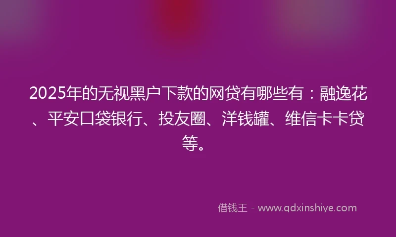 2025年的无视黑户下款的网贷有哪些有：融逸花、平安口袋银行、投友圈、洋钱罐、维信卡卡贷等。