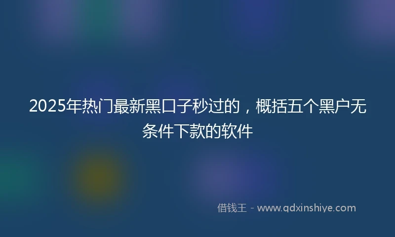 2025年热门最新黑口子秒过的，概括五个黑户无条件下款的软件