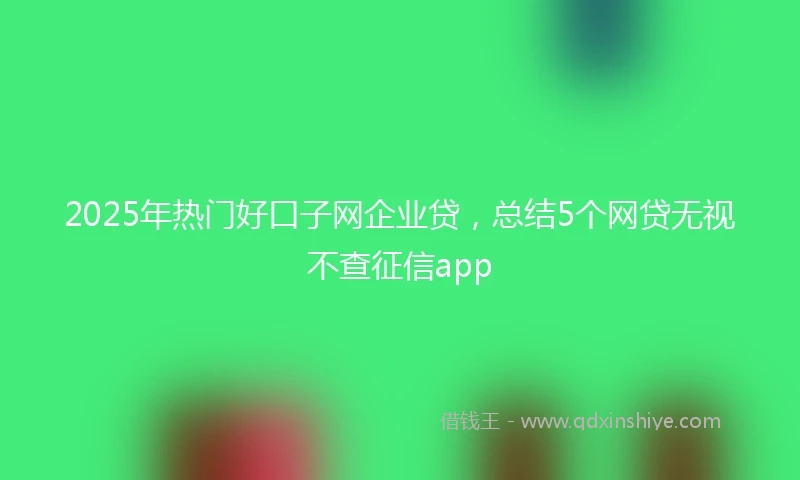 2025年热门好口子网企业贷，总结5个网贷无视不查征信app