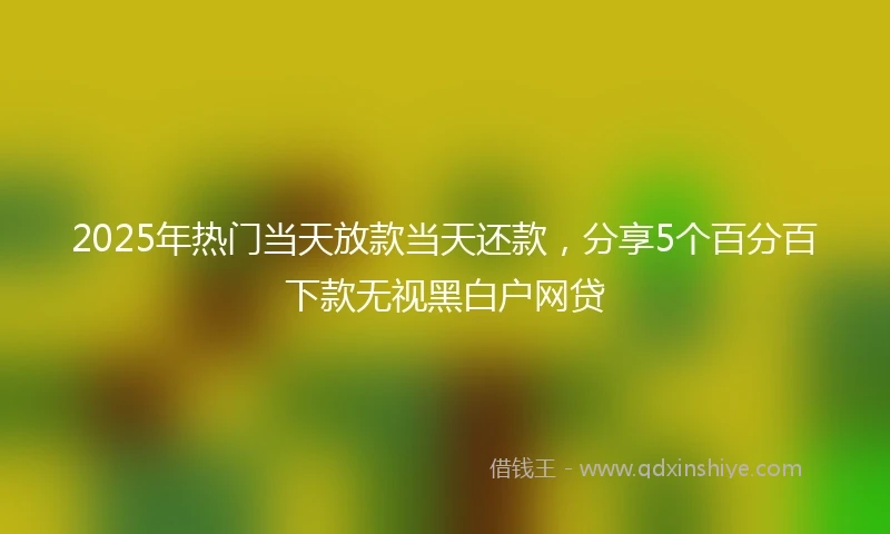 2025年热门当天放款当天还款，分享5个百分百下款无视黑白户网贷