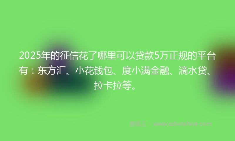 2025年的征信花了哪里可以贷款5万正规的平台有：东方汇、小花钱包、度小满金融、滴水贷、拉卡拉等。